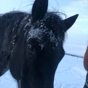 Meet your Posher, Tami